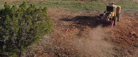 vimeo compact skid steer with grubber removing cedar|Cedar Clearing and Mulching Services .